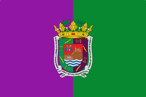 Bandera de Málaga