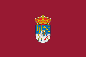 Bandera de Salamanca